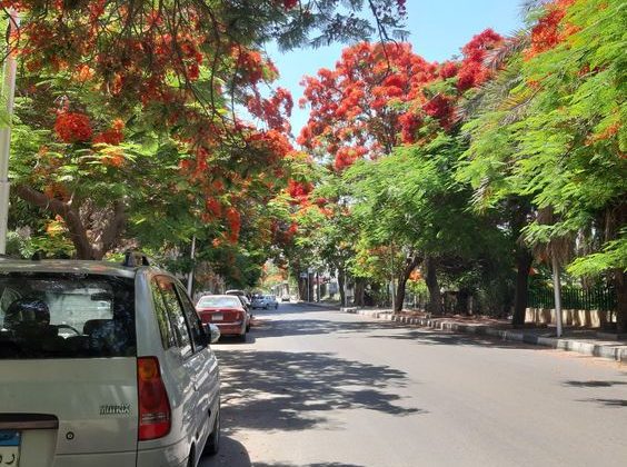 شقق قانون جديد للايجار في فيصل و الوراق الجيزة